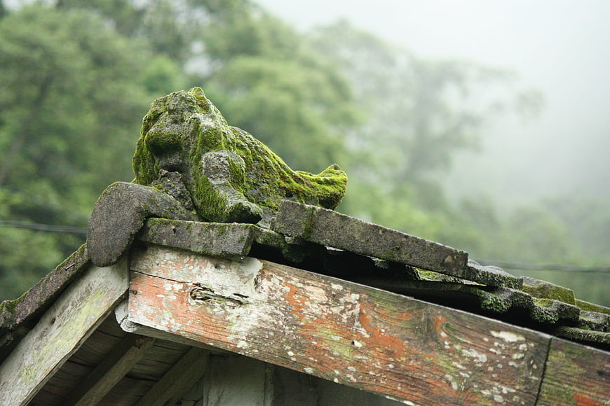 Moss-covered stone guardian on weathered roof in misty forest