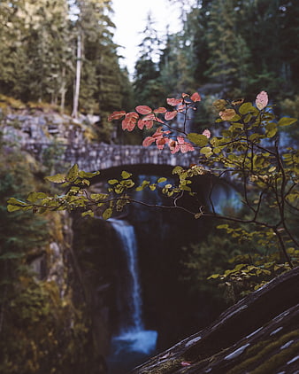 Autumn Branches Framing a Blurred Waterfall and Stone Bridge