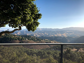 Scenic Mountain View from Balcony with Tree and Blue Sky
