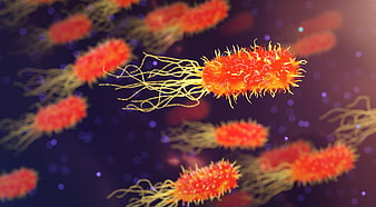 3D Render of Red Bacteria with Flagella on Dark Background