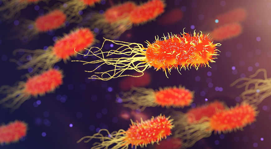 3D Render of Red Bacteria with Flagella on Dark Background
