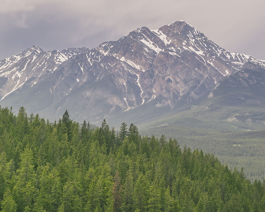 Snow-capped mountain peak rising above dense green coniferous forest