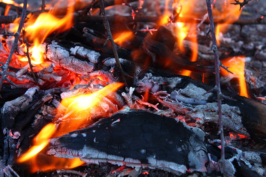 Close-up of burning wood logs and bright orange flames