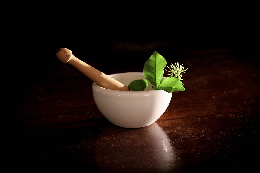 White mortar and pestle with green leaves on dark wood