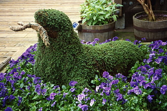 Green Topiary Seal Sculpture Surrounded by Purple Flowers