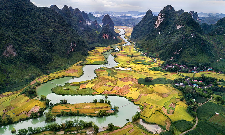 Aerial View of Golden Rice Terraces and Karst Mountains in Vietnam