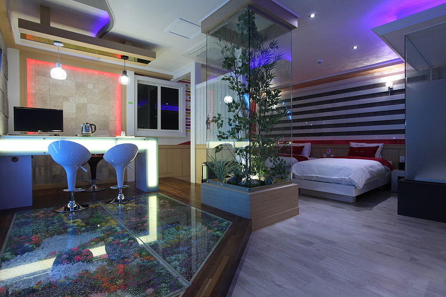 Modern hotel room with glass floor and indoor garden