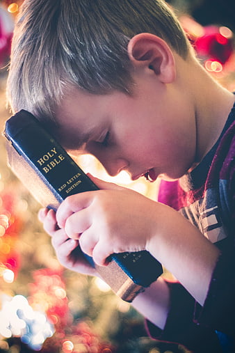 Young boy praying with Holy Bible near Christmas tree
