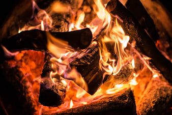 Close-up of burning logs in a cozy fireplace