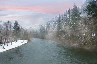 Misty Winter River Flowing Through Snowy Forest at Dawn