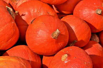 Close-up of vibrant orange pumpkins stacked in a pile