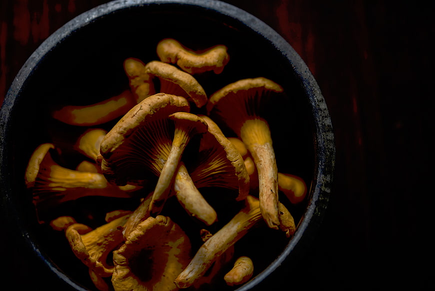 Fresh chanterelle mushrooms in a dark rustic bowl