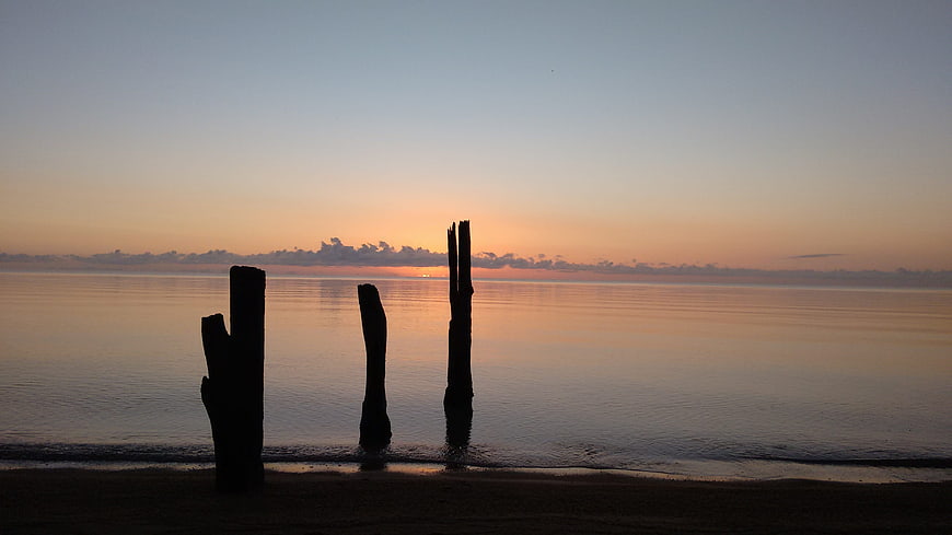 Silhouetted wooden posts on calm beach at sunset