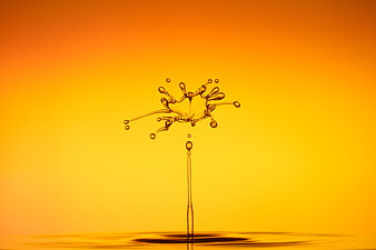 Golden liquid splash on yellow gradient background