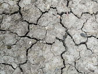 Close-up of cracked dry earth soil texture