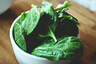 Fresh Green Spinach Leaves in White Bowl