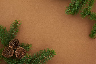 Christmas Pine Branches and Cones on Brown Background