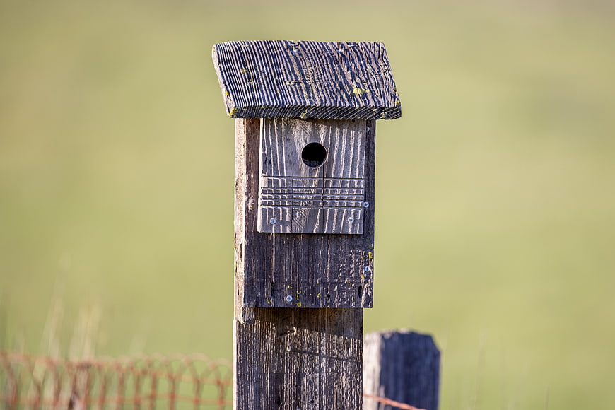 Rustic Wooden Birdhouse on Post in Green Field