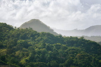 Lush Green Mountain Landscape with Misty Clouds