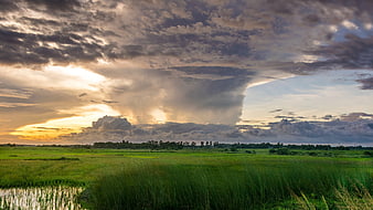 Dramatic sunset over lush green rice paddy fields
