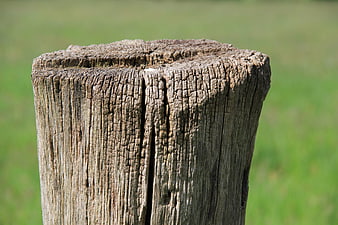 Close-up of weathered wooden fence post in green meadow