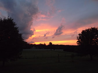 Dramatic sunset over rural field with silhouetted trees