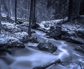 Long Exposure Winter Stream Flowing Through Snowy Forest