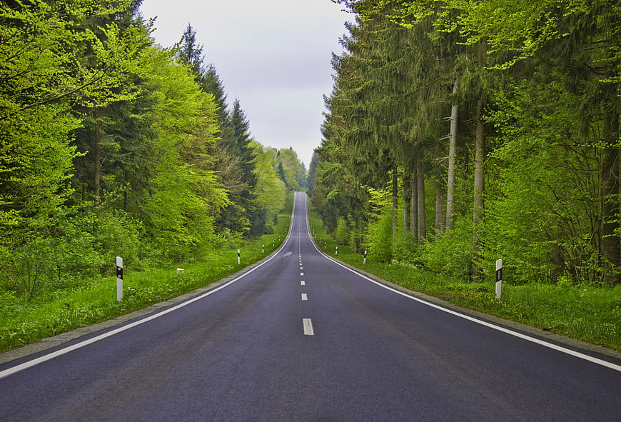 Asphalt road winding through lush green forest in spring