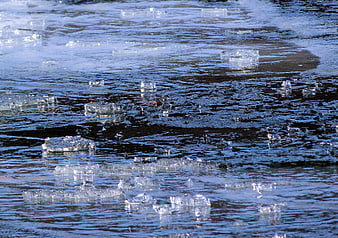 Chunks of ice floating in a flowing river stream