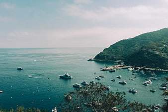 Scenic coastal harbor with boats and lush green hills