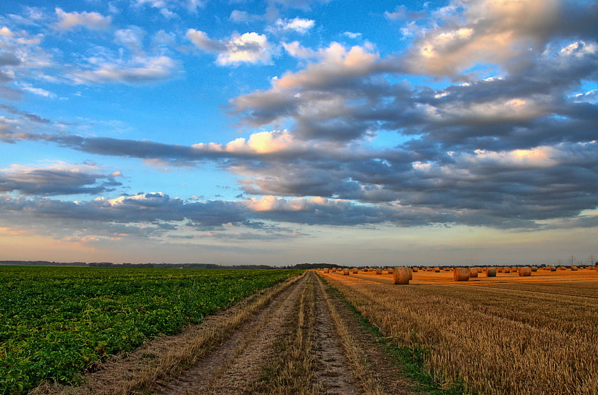 Rural Landscape with Hay Bales and Dirt Road at Sunset