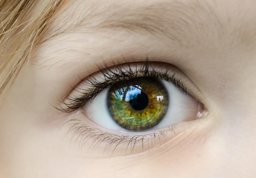 Extreme Close-Up of Green Human Eye with Reflection
