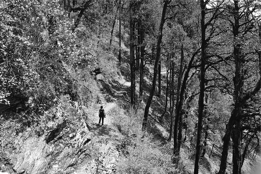 Hiker walking on forest trail in black and white