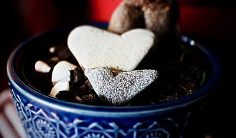 Heart-shaped stones in a blue ceramic pot with soil