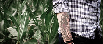 Man with Sleeve Tattoo Standing in Cornfield