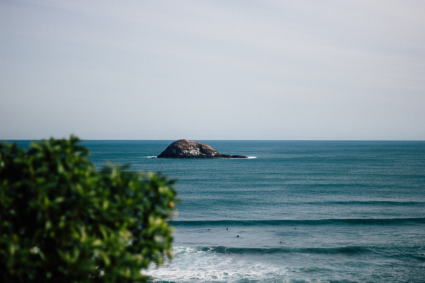 Ocean View with Rocky Island and Surfers Through Green Foliage