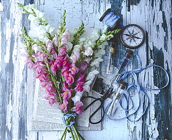 Rustic Flat Lay of Pink and White Snapdragon Flowers with Compass