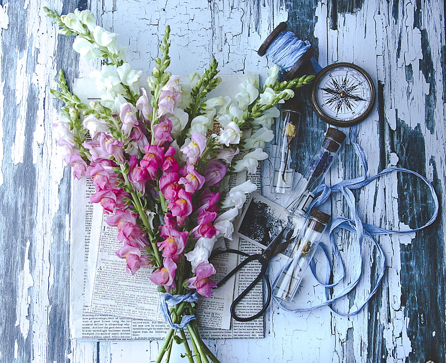 Rustic Flat Lay of Pink and White Snapdragon Flowers with Compass