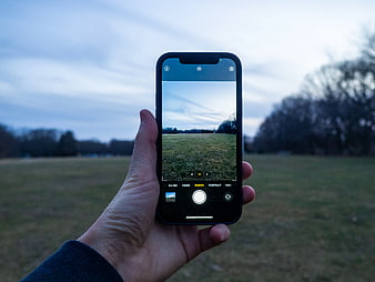 Hand Holding Smartphone Taking Photo of Park Landscape