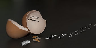 Broken eggshell with tally marks and chalk footprints on black background