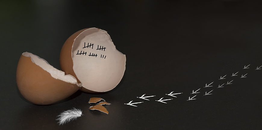 Broken eggshell with tally marks and chalk footprints on black background