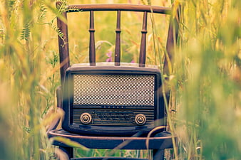 Vintage Radio on Wooden Chair in Grassy Field