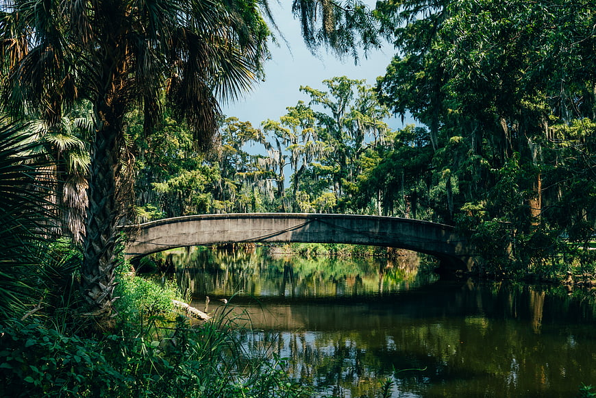 Concrete Arch Bridge Over Swampy River With Cypress Trees