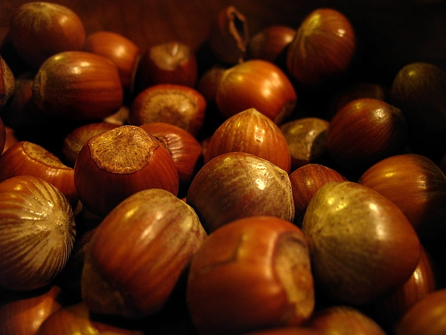 Close-up of roasted hazelnuts in warm lighting