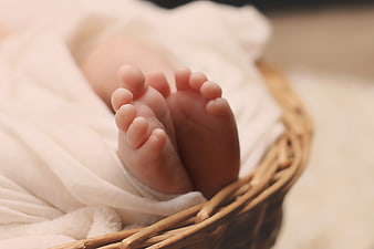 Close-up of newborn baby feet in wicker basket