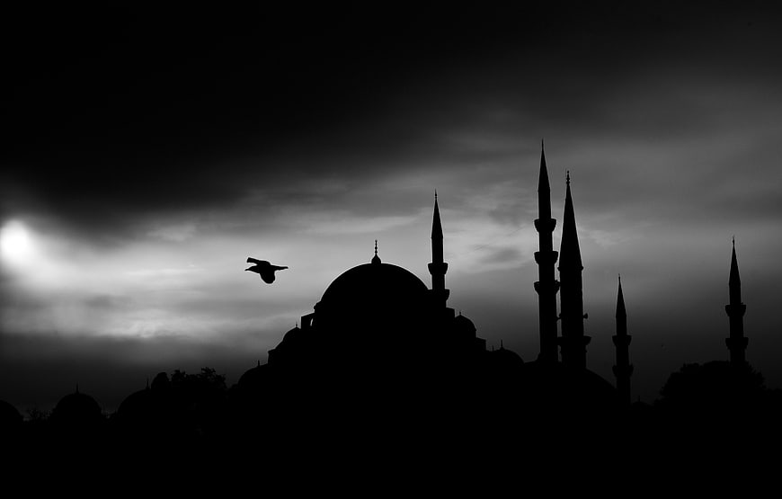 Dramatic Black and White Silhouette of Istanbul Mosque