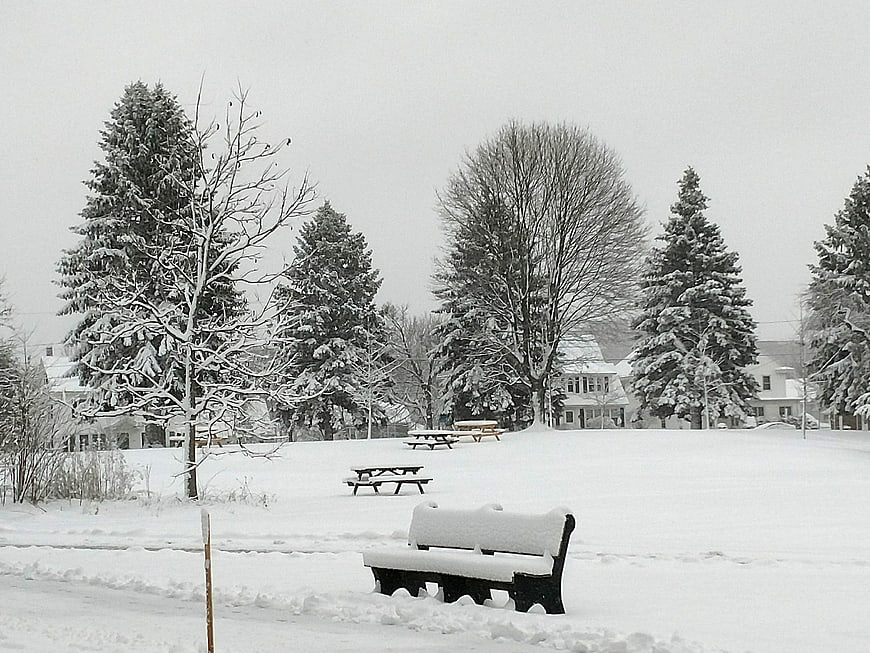 Snow-covered park bench and trees in winter landscape