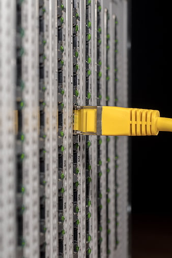 Yellow Ethernet Cable Plugged Into Network Switch Port