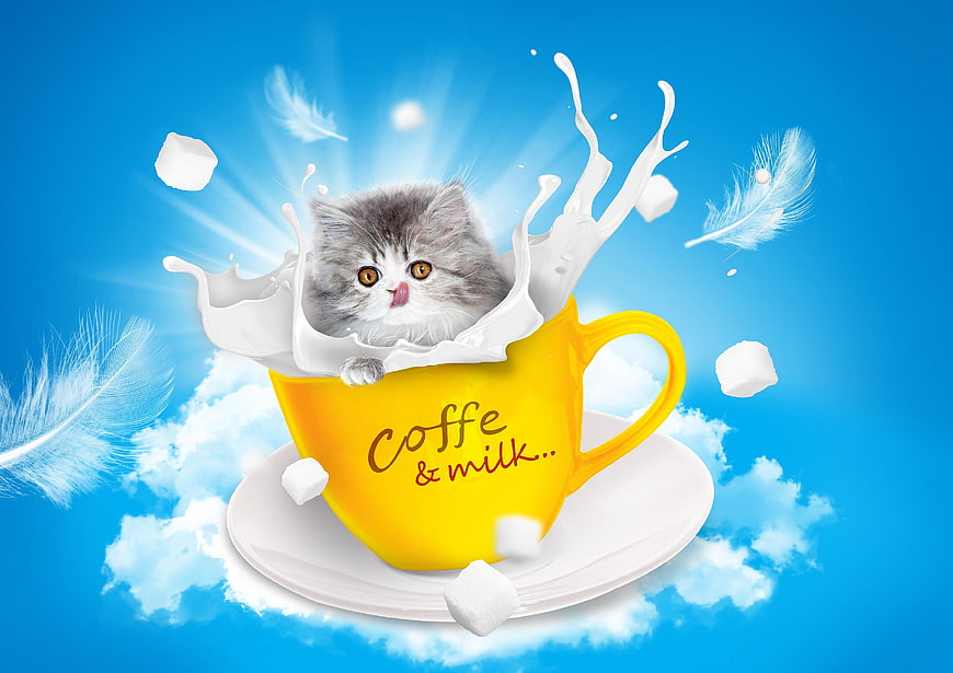 Cute kitten in yellow coffee cup with milk splash