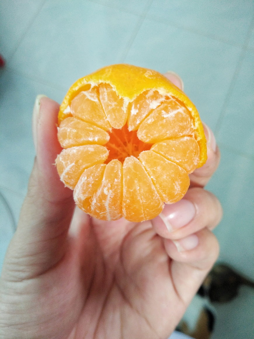 Hand holding a peeled mandarin orange with visible segments